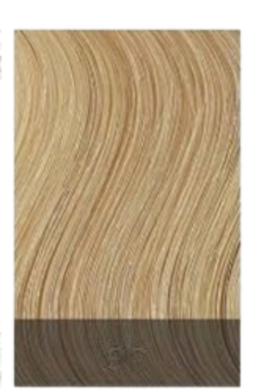 Angel Couture Long Classic Tape In Hair Extensions
